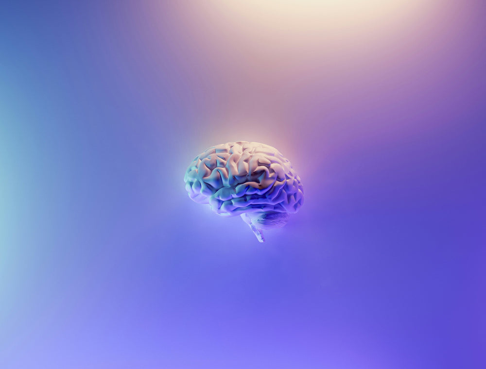 What is Cognizin® Citicoline, and Why is it in Our Focus Cookie?